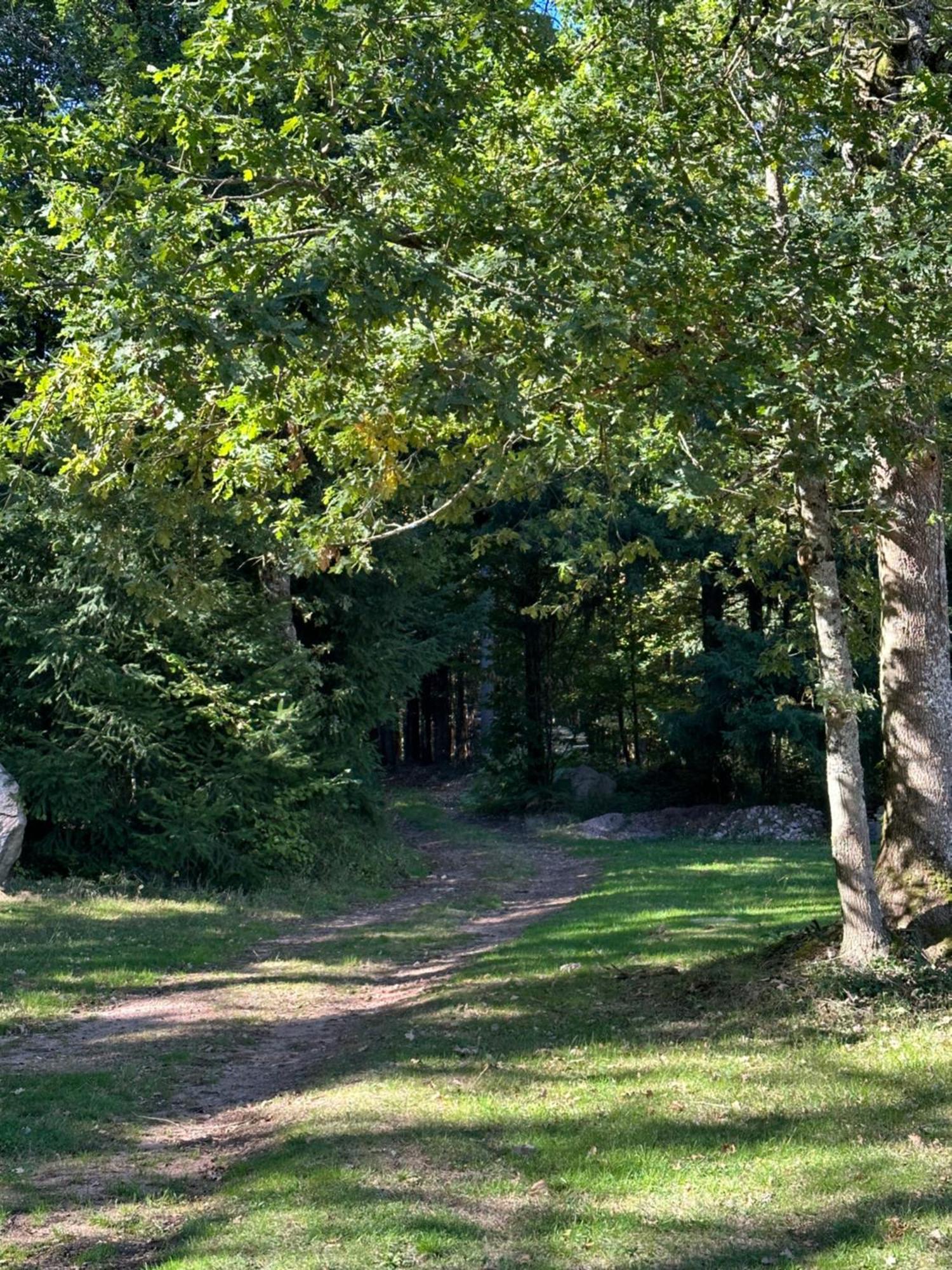 Inn Du Cote De Chez Sam Andelaroche